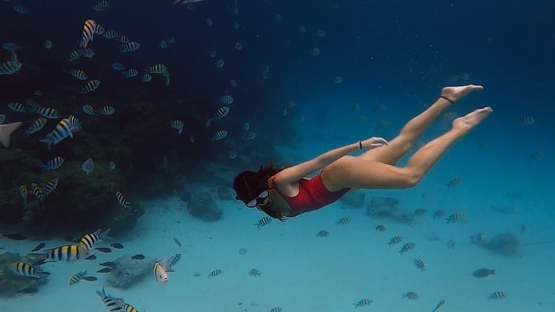 Mnemba Island for Dolphins and snorkeling