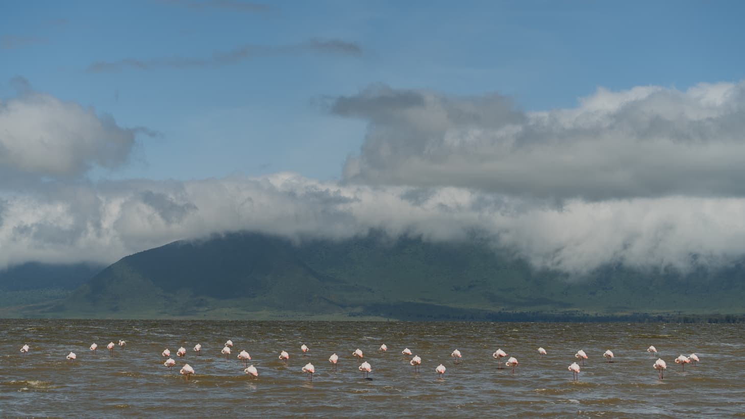 7-Day :Lake Natron & Serengeti Safari Flamingos