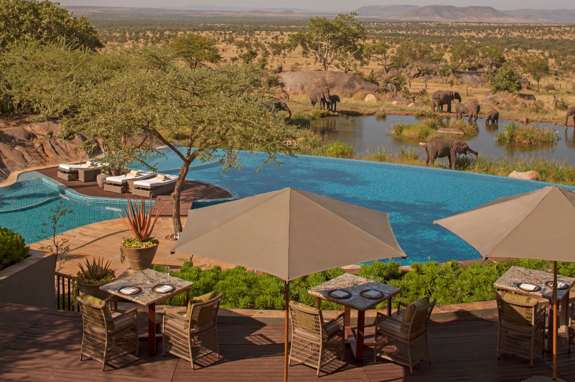 4-Day Luxury Experience Private Safari