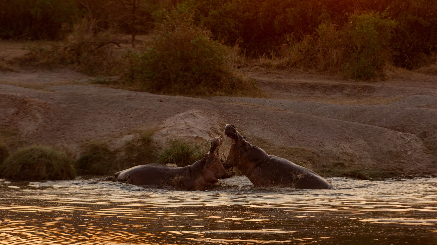 4-Day : Tarangire, Ngorongoro Crater & Lake Manyara