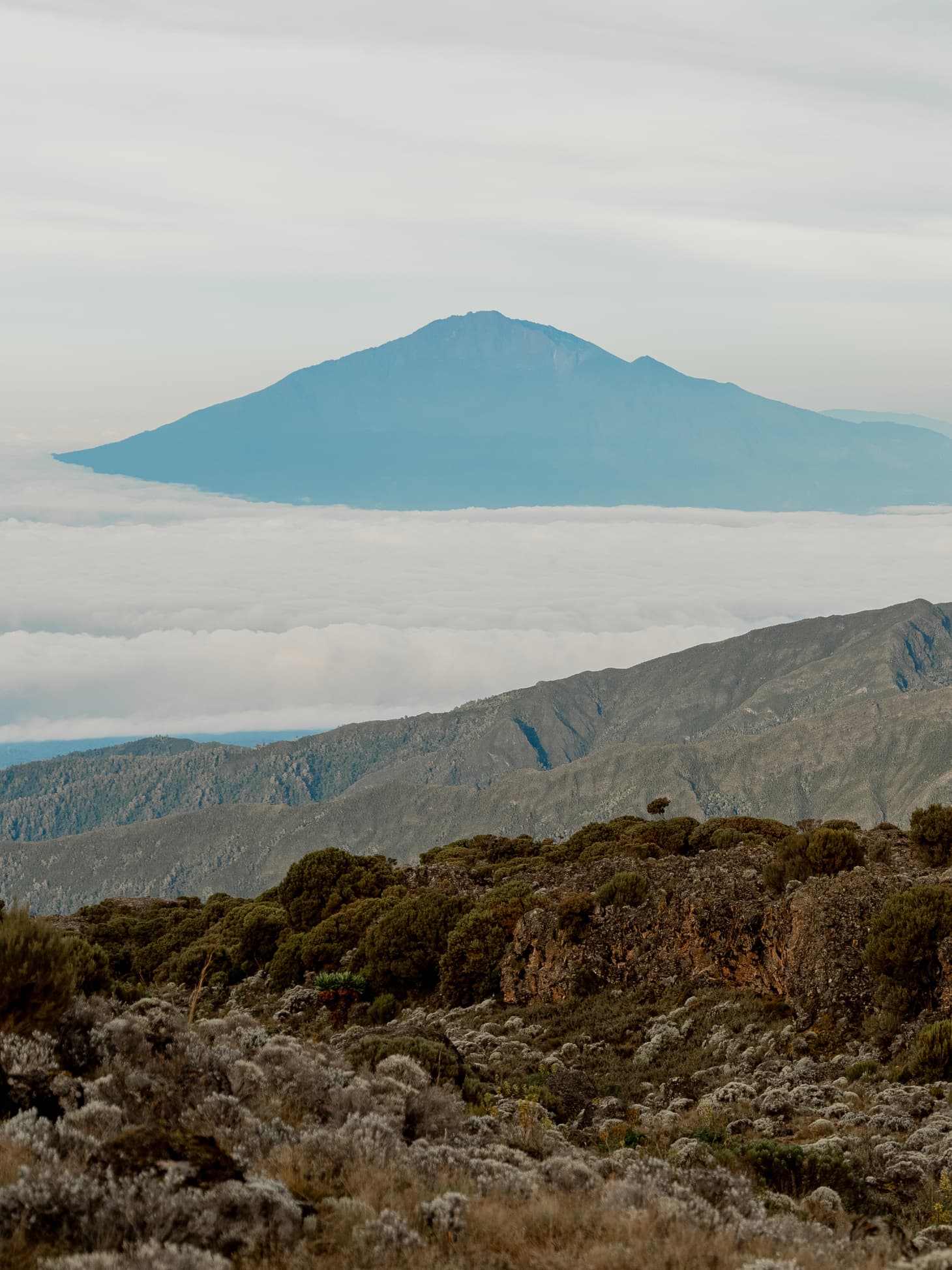 8 Days ; Lemosho Route Mount Kilimanjaro Climbing