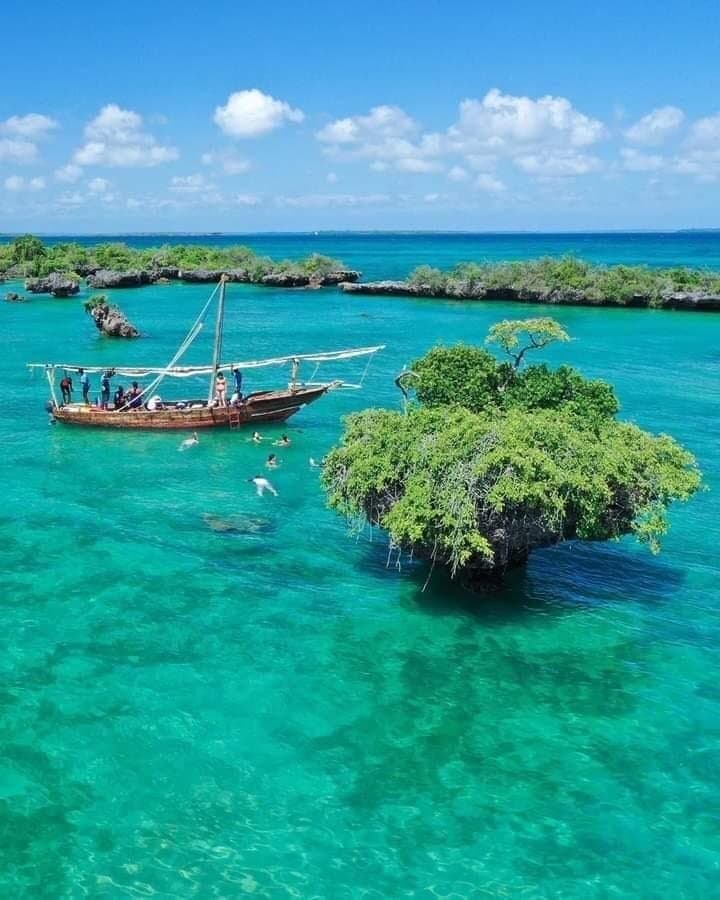 Full-Day Safari Blue Trip